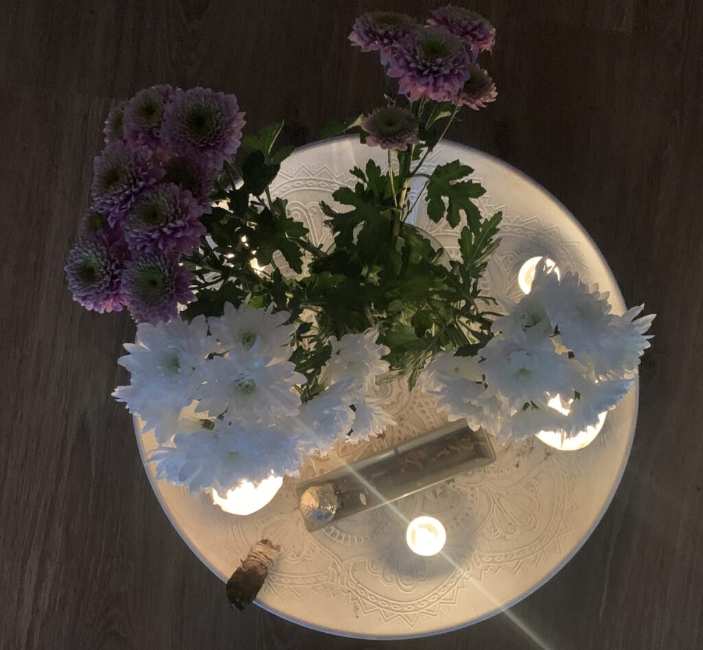 Shaki flow-1 - copia